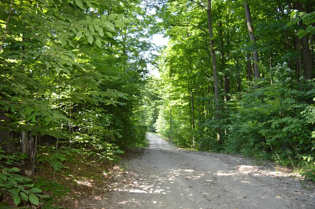 7573 Alden Highway Helena Township MI 49615
