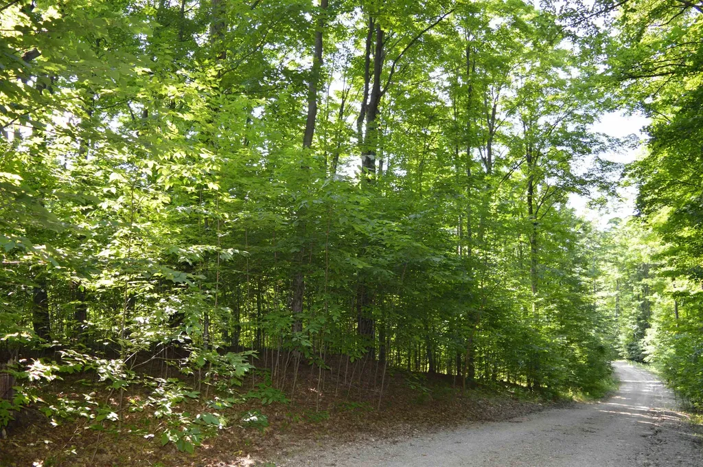 7573 Alden Highway Helena Township MI 49615