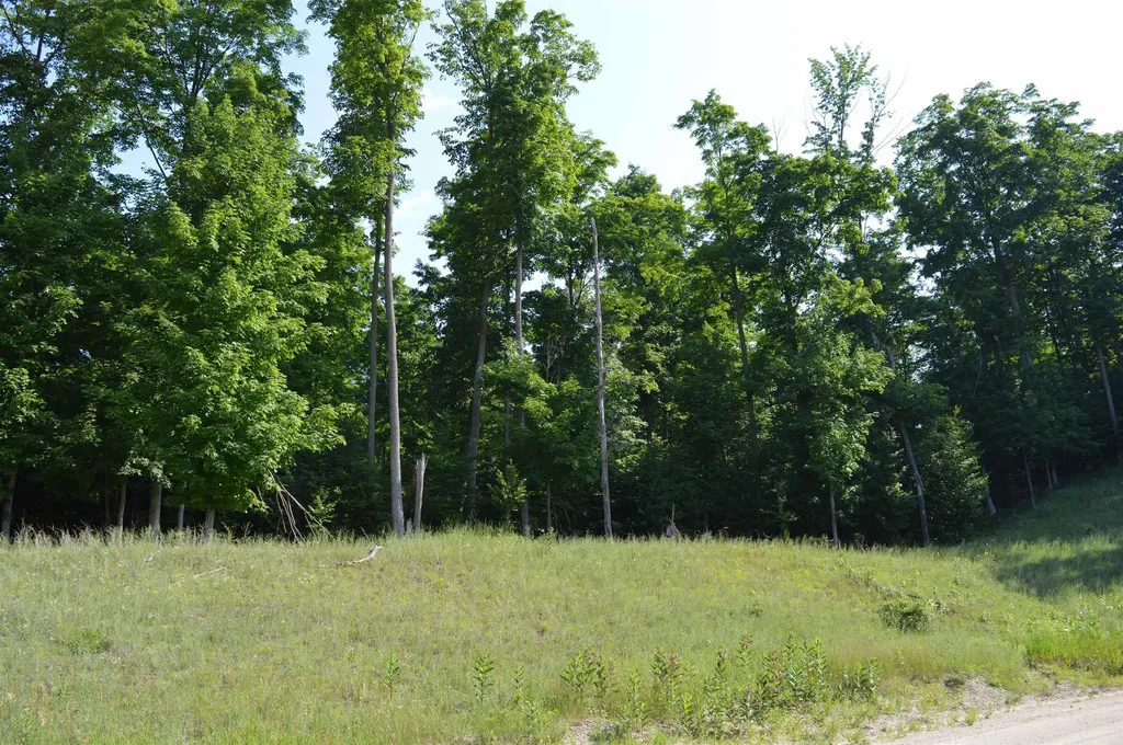 7573 Alden Highway Helena Township MI 49615