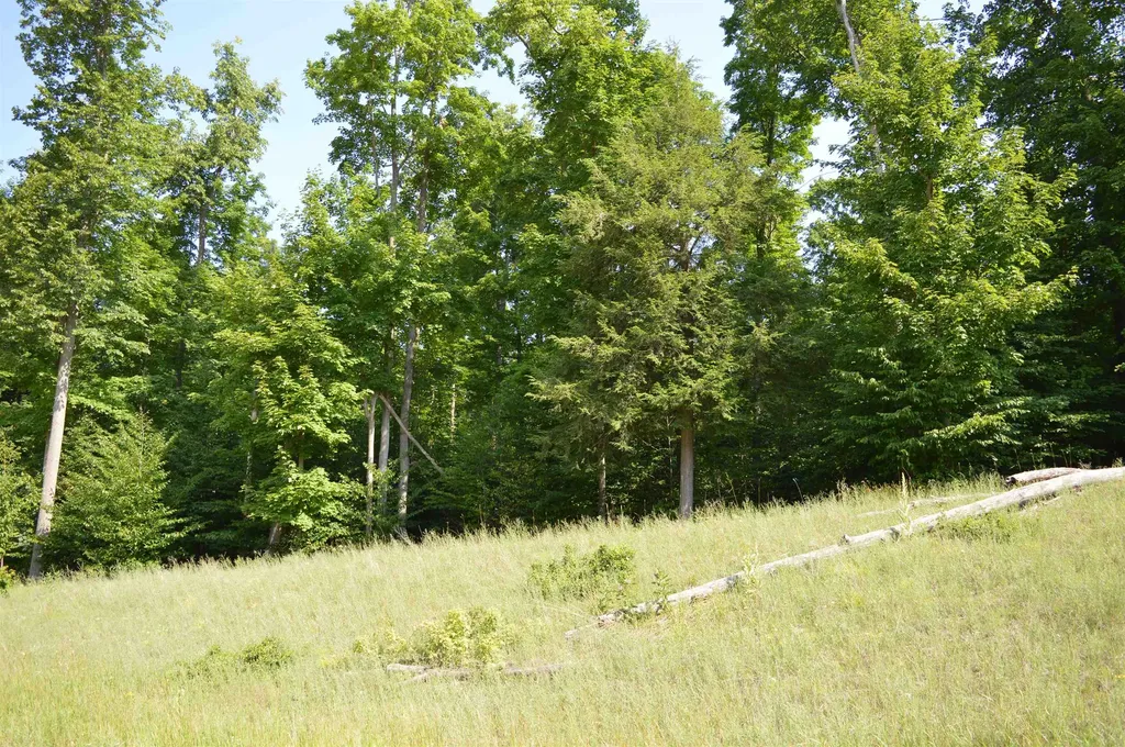 7573 Alden Highway Helena Township MI 49615