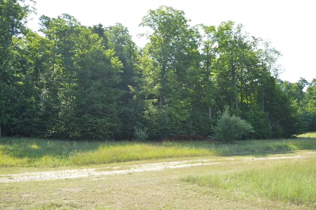 7573 Alden Highway Helena Township MI 49615