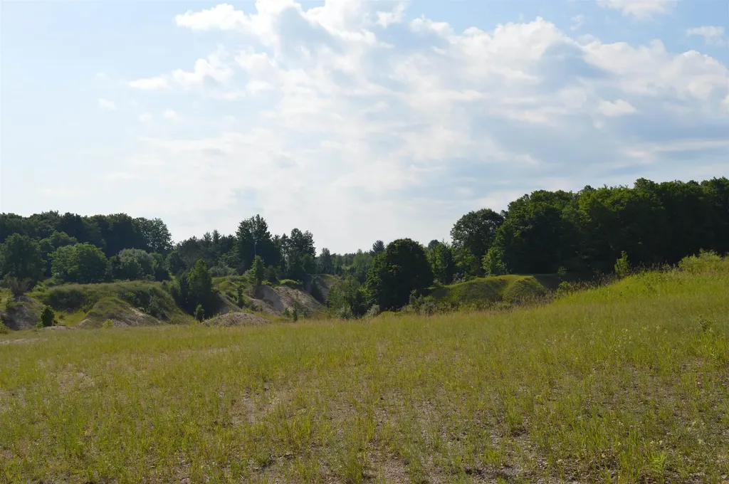 7573 Alden Highway Helena Township MI 49615