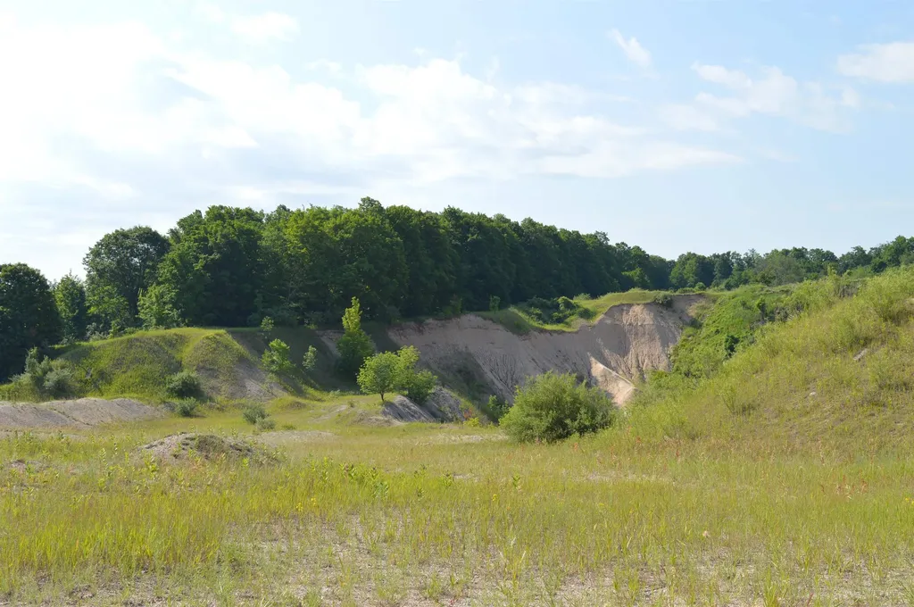 7573 Alden Highway Helena Township MI 49615
