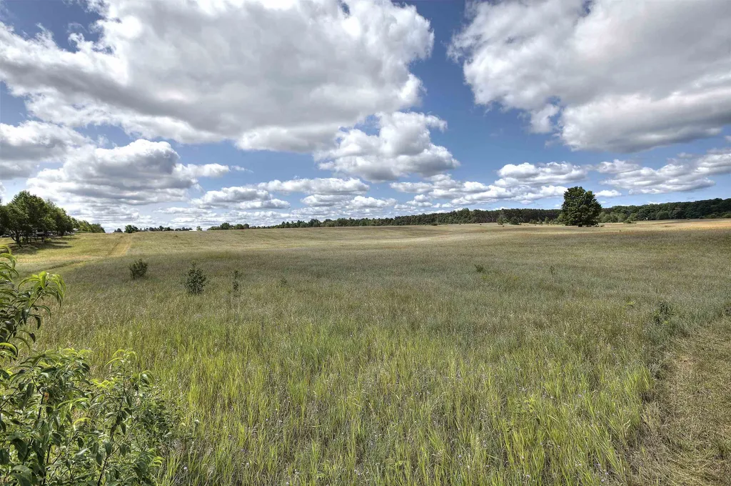 20682 Honor Highway Inland Township MI 49643