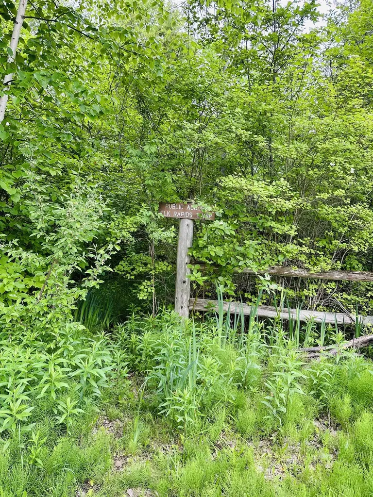 0 Forest Drive Elk Rapids Township MI 49648
