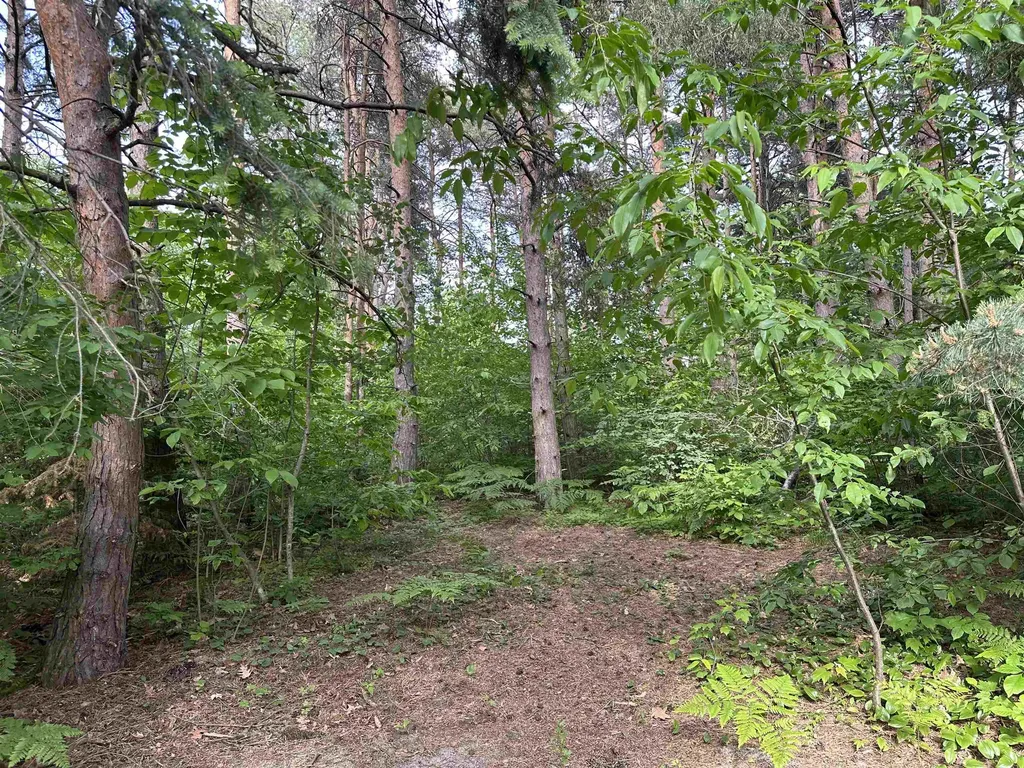 0 Forest Drive Elk Rapids Township MI 49648