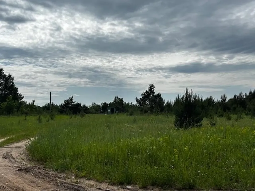 4856 Mancelona Road Mancelona Township MI 49659