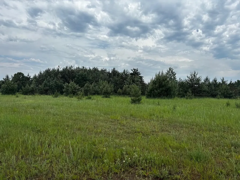 4856 Mancelona Road Mancelona Township MI 49659