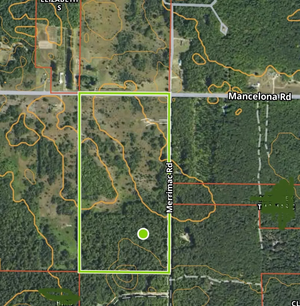 4856 Mancelona Road Mancelona Township MI 49659
