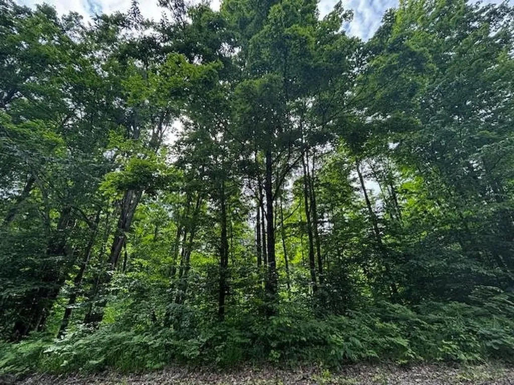 4856 Mancelona Road Mancelona Township MI 49659