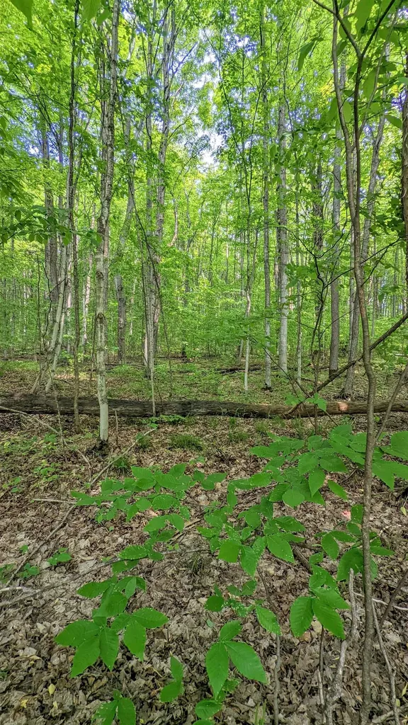 Lot 320, 321 Swiss Village Kearney Township MI 49615