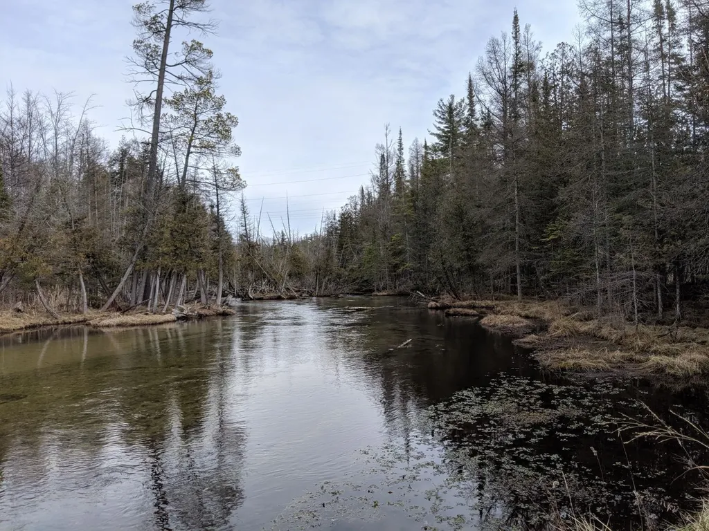 Lot 320, 321 Swiss Village Kearney Township MI 49615