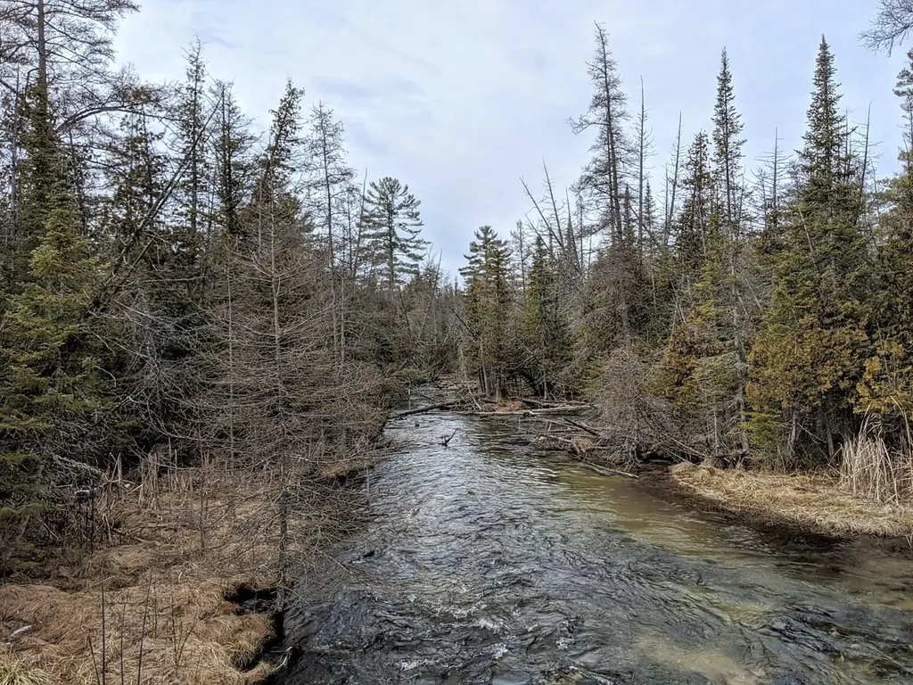Lot 320, 321 Swiss Village Kearney Township MI 49615