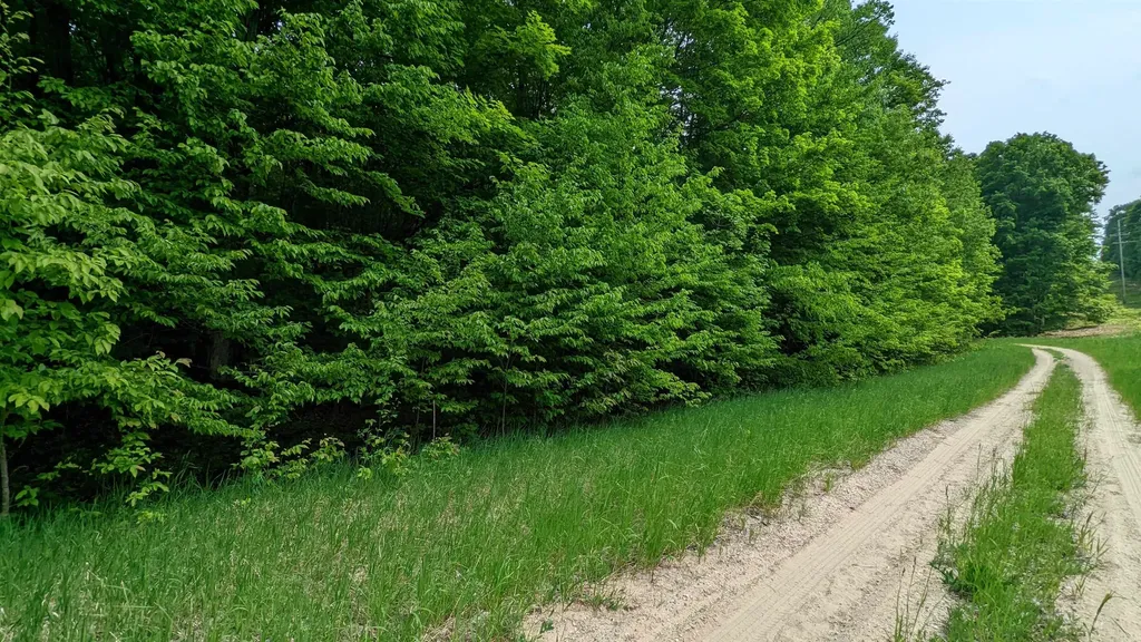 Lot 320, 321 Swiss Village Kearney Township MI 49615