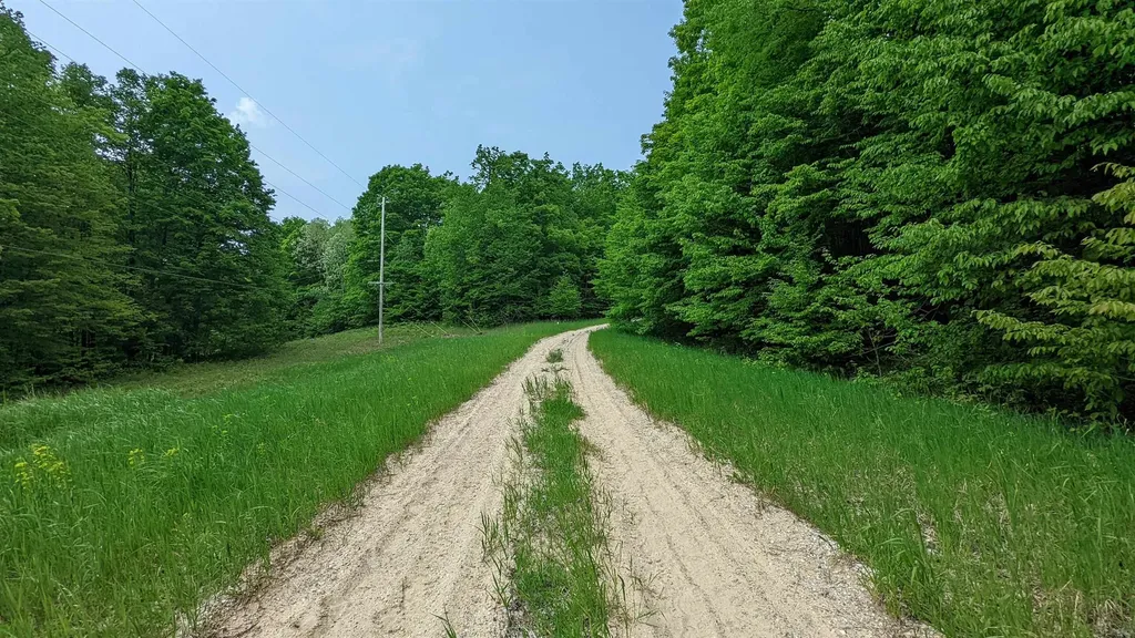 Lot 320, 321 Swiss Village Kearney Township MI 49615