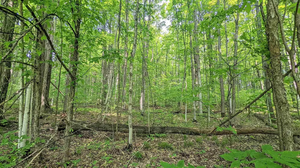 Lot 320, 321 Swiss Village Kearney Township MI 49615