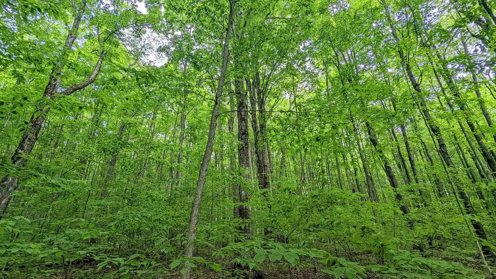 Lot 320, 321 Swiss Village Kearney Township MI 49615