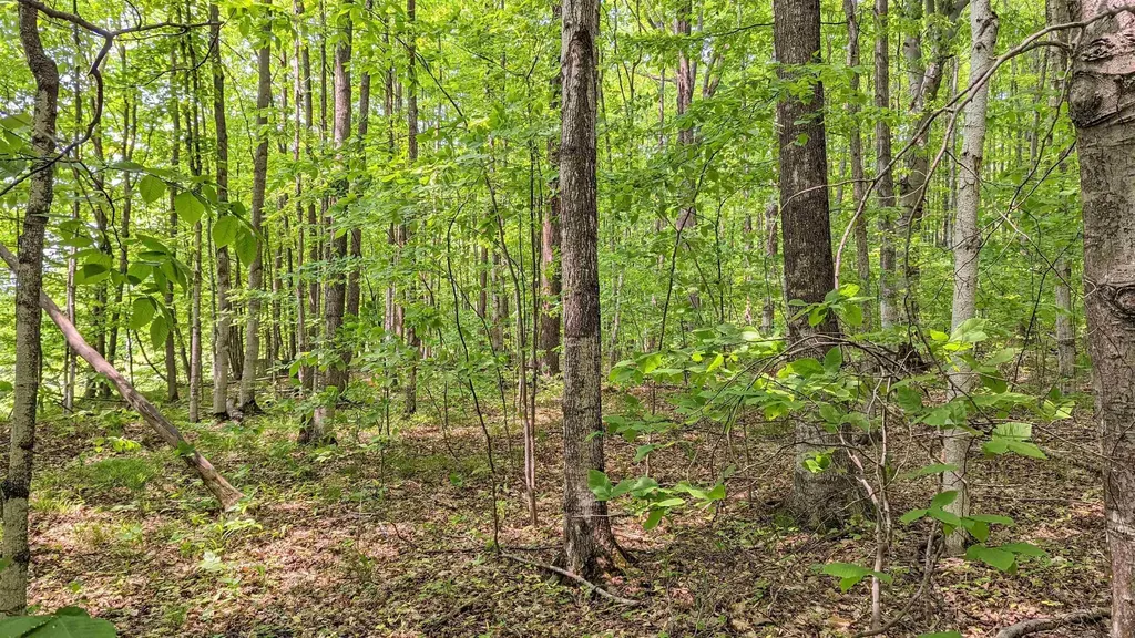 Lot 320, 321 Swiss Village Kearney Township MI 49615