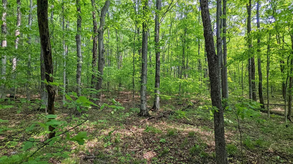 Lot 320, 321 Swiss Village Kearney Township MI 49615