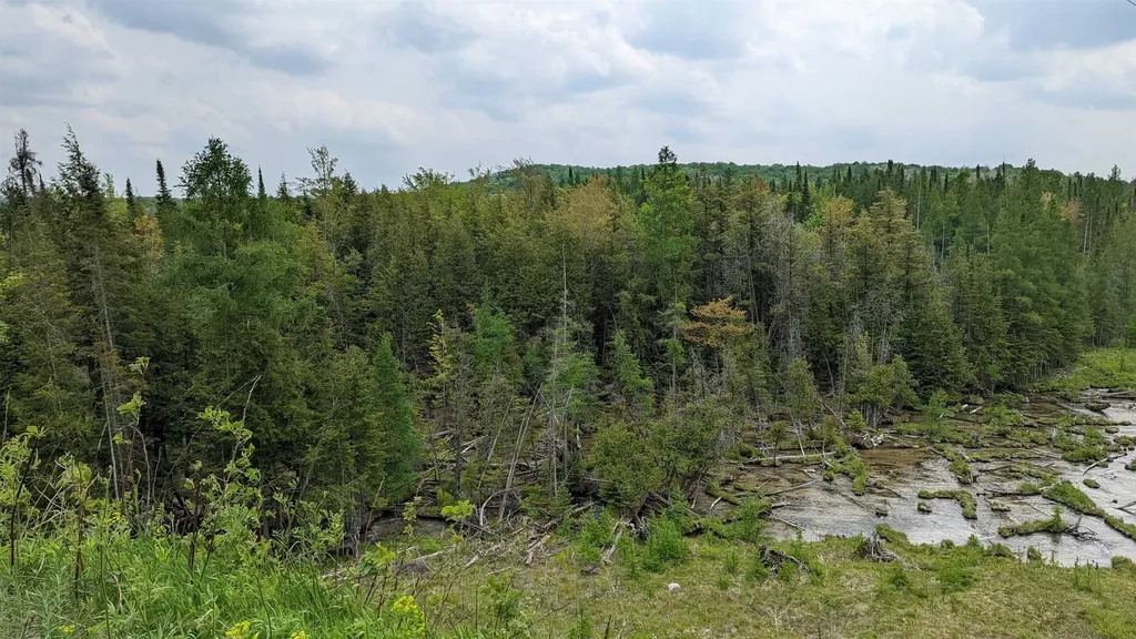 Lot 320, 321 Swiss Village Kearney Township MI 49615