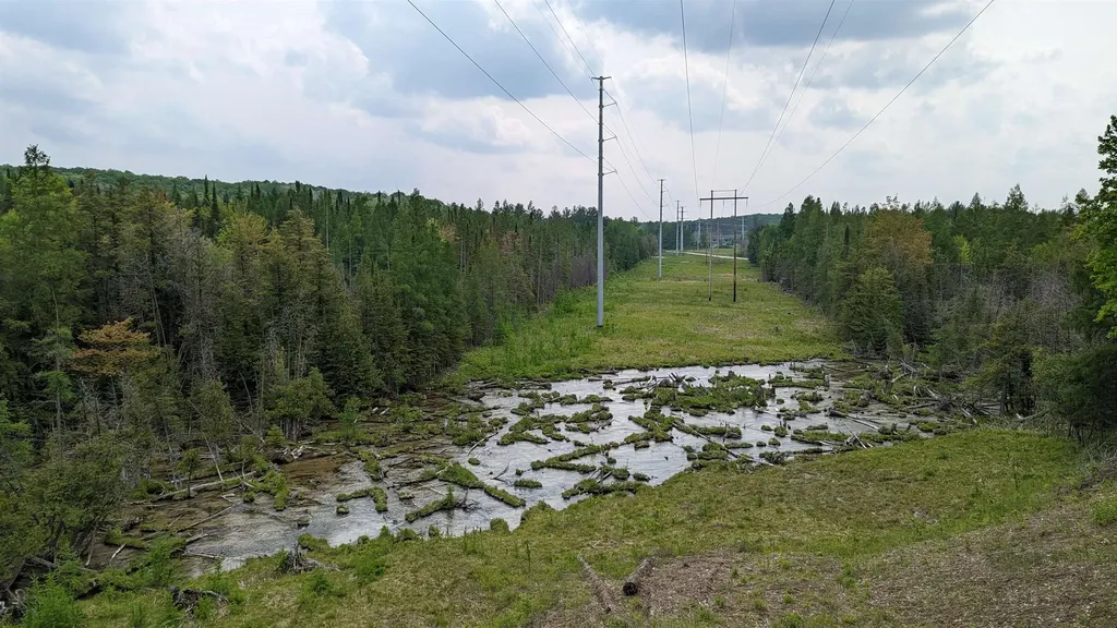 Lot 320, 321 Swiss Village Kearney Township MI 49615