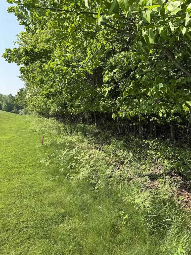 0000 Mooney Way Torch Lake Township MI 49648