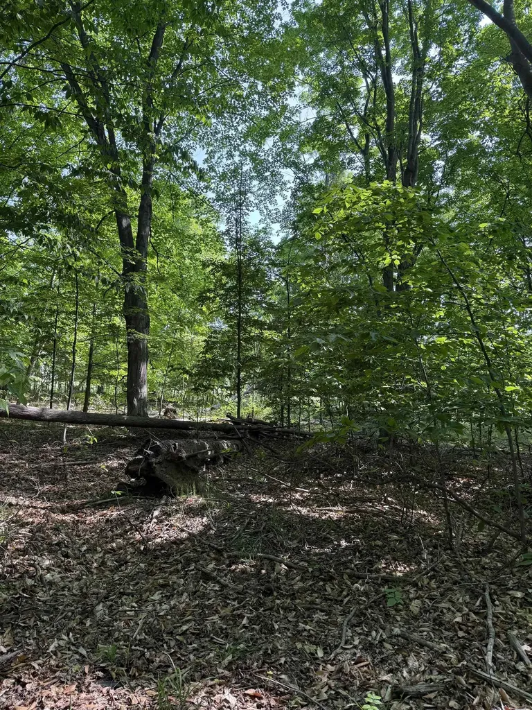 0000 Mooney Way Torch Lake Township MI 49648