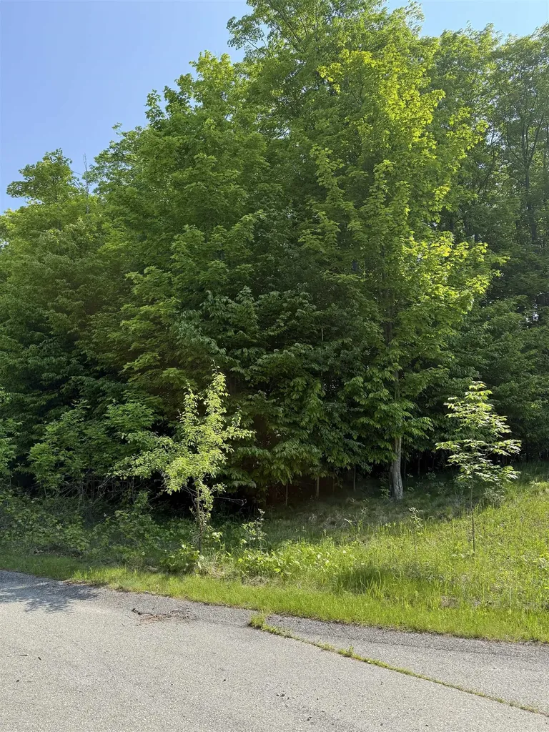 0000 Mooney Way Torch Lake Township MI 49648