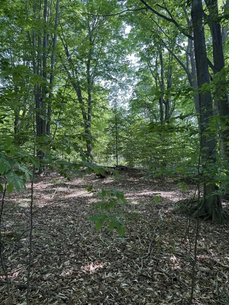 0000 Mooney Way Torch Lake Township MI 49648