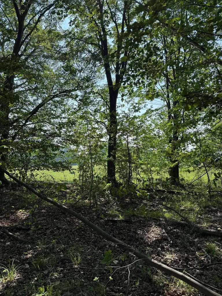 0000 Mooney Way Torch Lake Township MI 49648