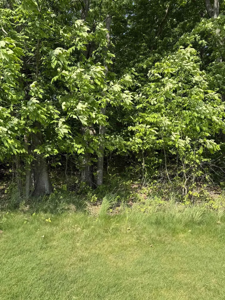 0000 Mooney Way Torch Lake Township MI 49648
