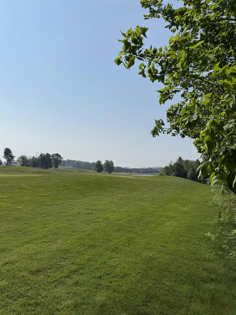 0000 Mooney Way Torch Lake Township MI 49648