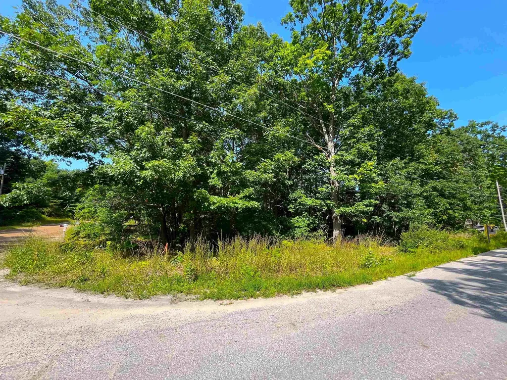 Lot B Third Street Green Lake Township MI 49643