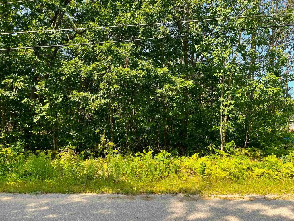 Lot B Third Street Green Lake Township MI 49643