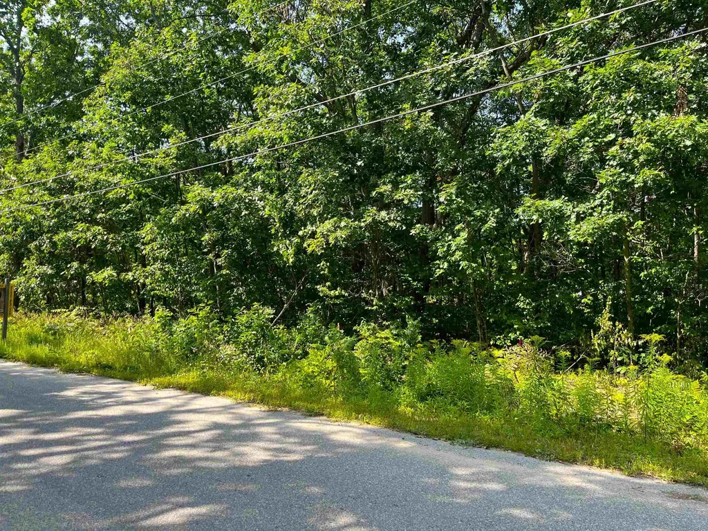Lot B Third Street Green Lake Township MI 49643