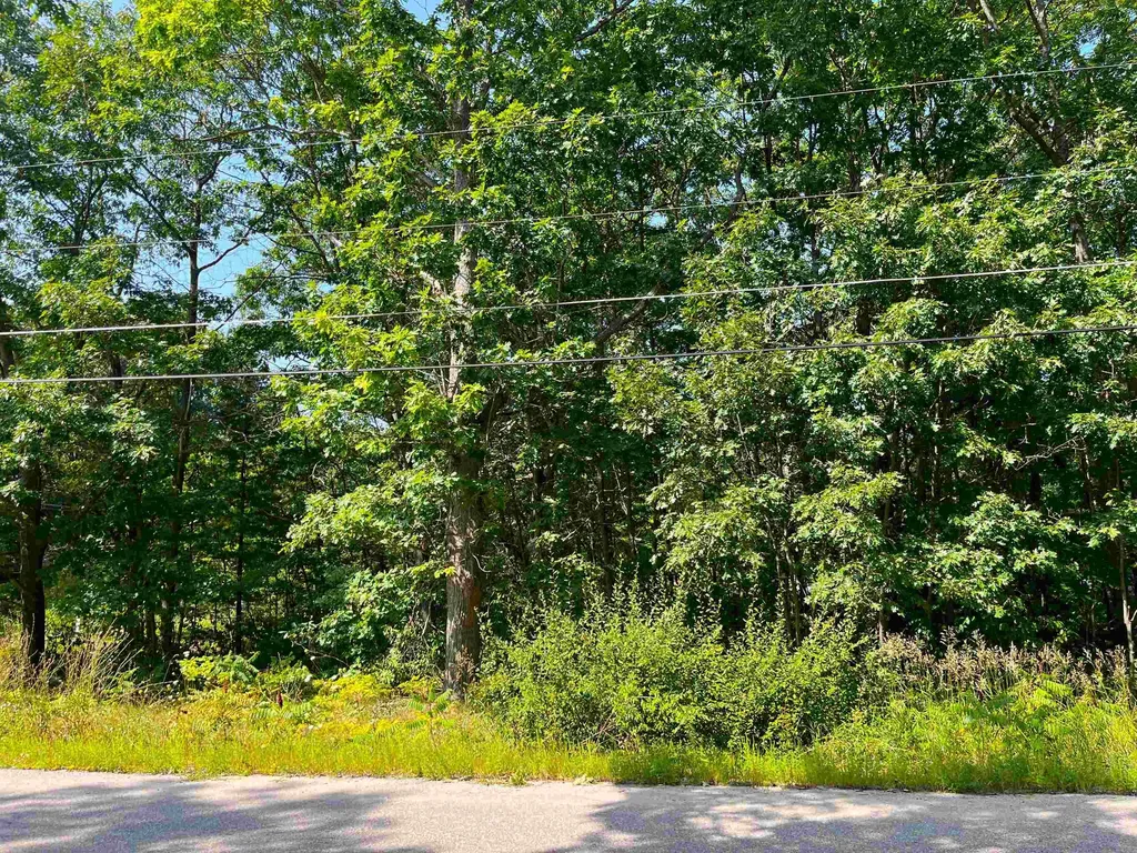 Lot B Third Street Green Lake Township MI 49643