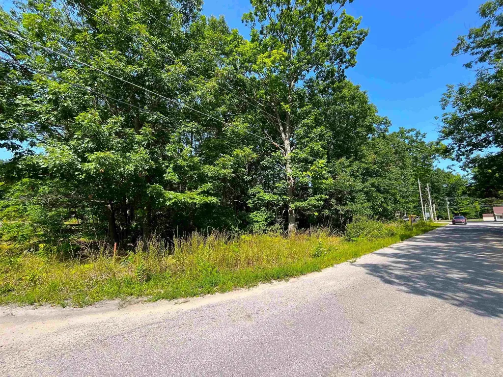 Lot B Third Street Green Lake Township MI 49643