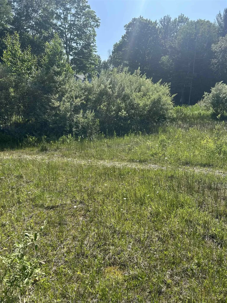 5543 Crystal Lane Benzonia Township MI 49635