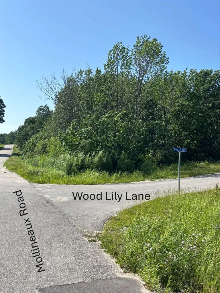 5543 Crystal Lane Benzonia Township MI 49635