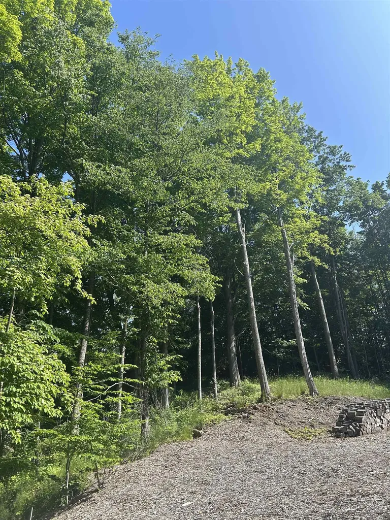 5543 Crystal Lane Benzonia Township MI 49635