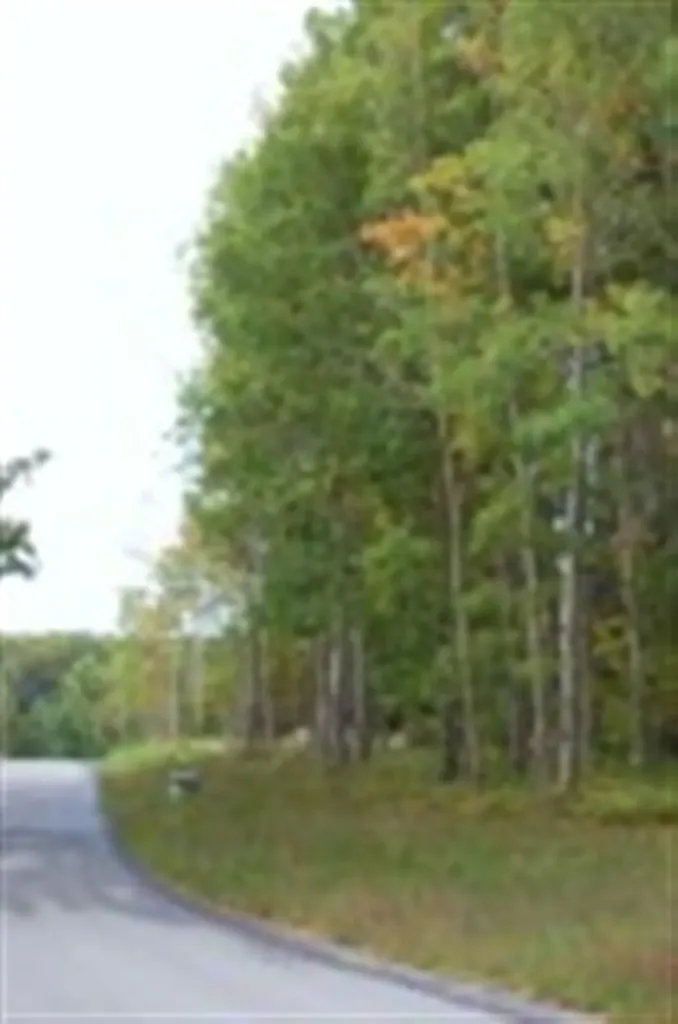 282 Lakeview Trail Torch Lake Township MI 49648