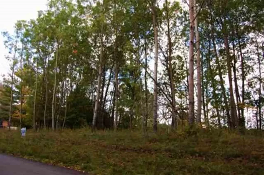 282 Lakeview Trail Torch Lake Township MI 49648