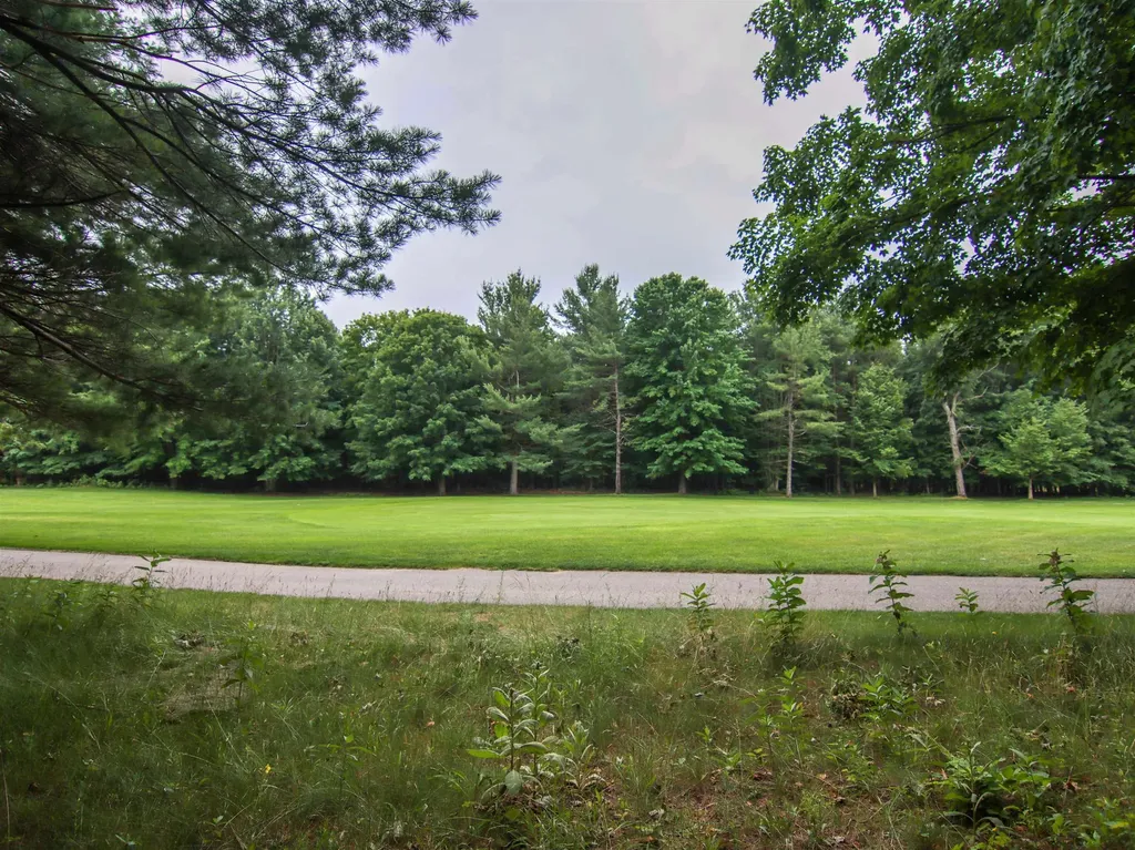 0000-UNIT 42 Trailside Drive Weldon Township MI 49683