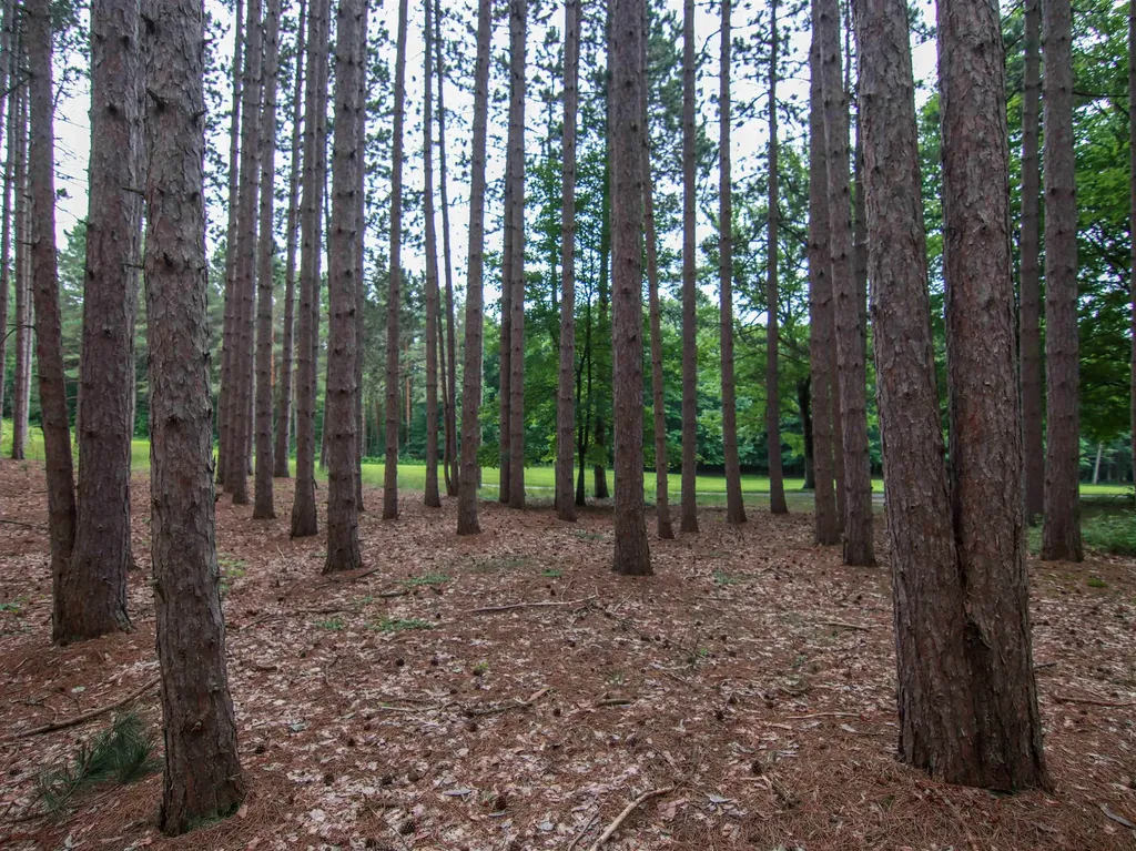0000-UNIT 42 Trailside Drive Weldon Township MI 49683