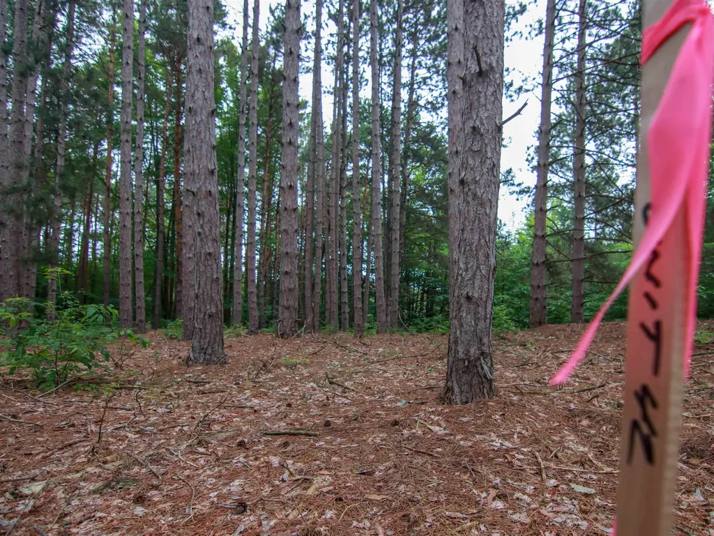 0000-UNIT 42 Trailside Drive Weldon Township MI 49683