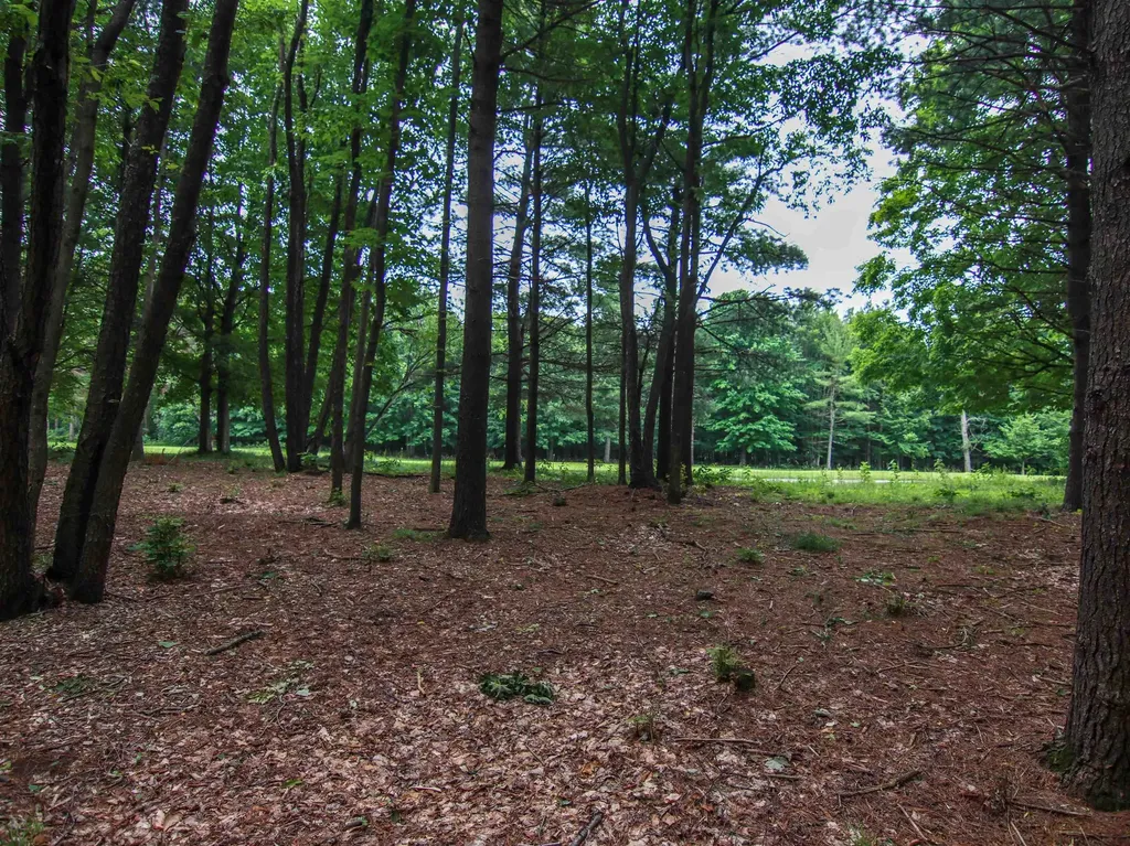 0000-UNIT 41 Trailside Drive Weldon Township MI 49683