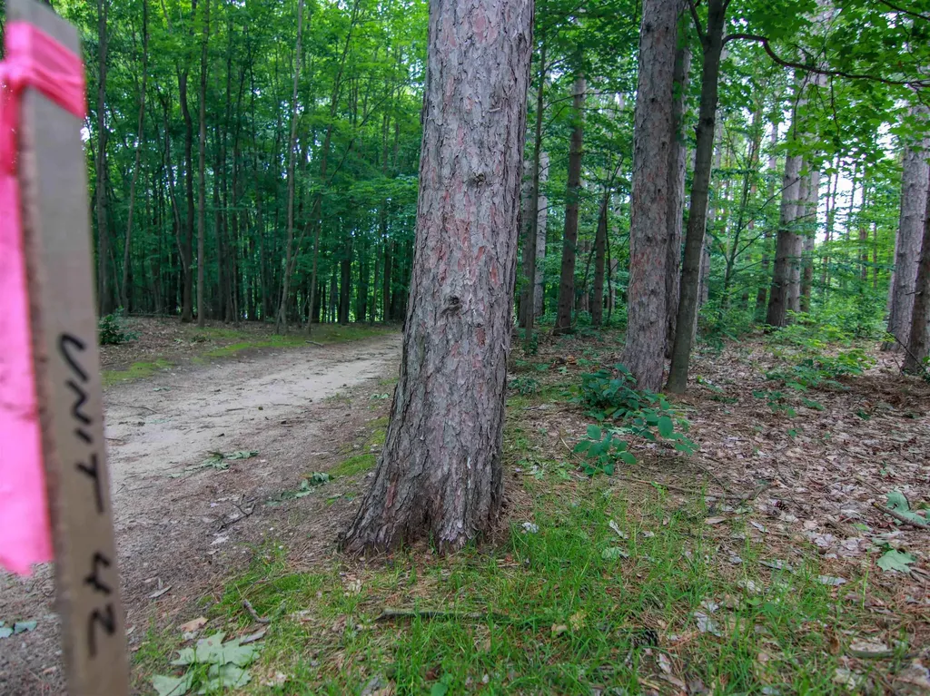 0000-UNIT 41 Trailside Drive Weldon Township MI 49683
