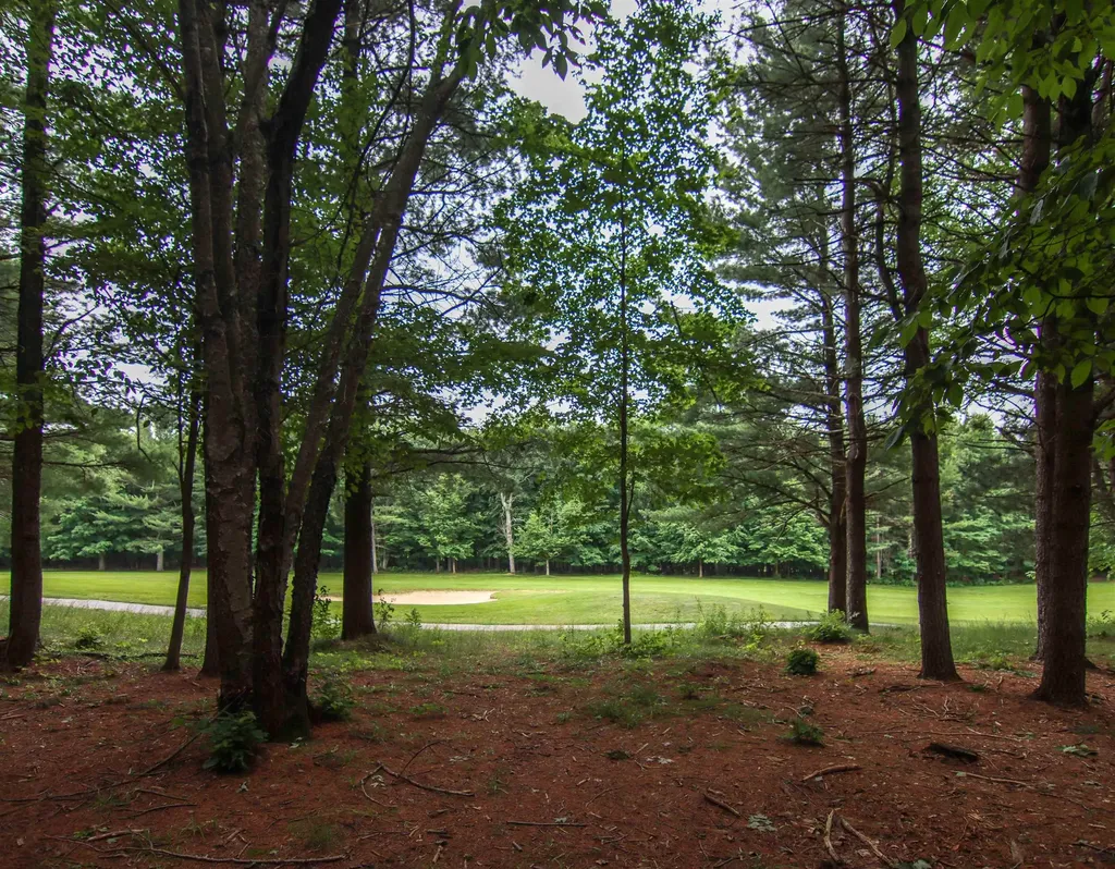 0000-UNIT 40 Trailside Drive Weldon Township MI 49683
