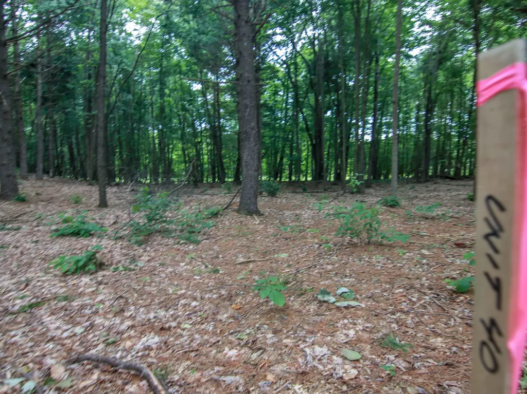 0000-UNIT 40 Trailside Drive Weldon Township MI 49683