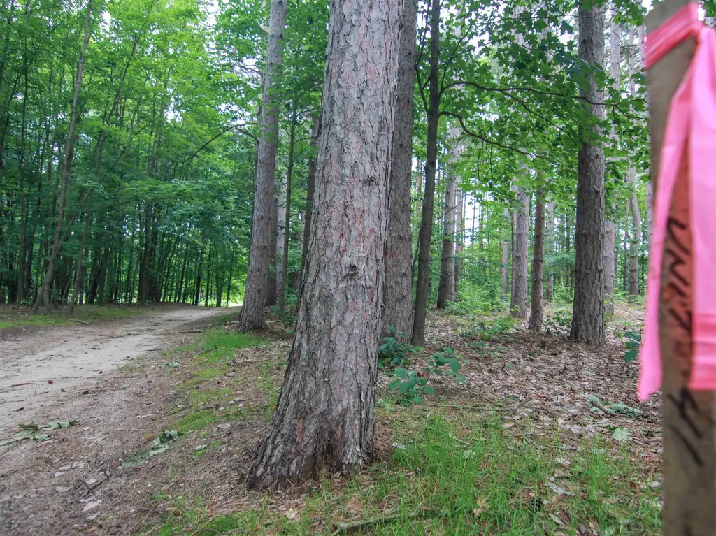 0000-UNIT 40 Trailside Drive Weldon Township MI 49683